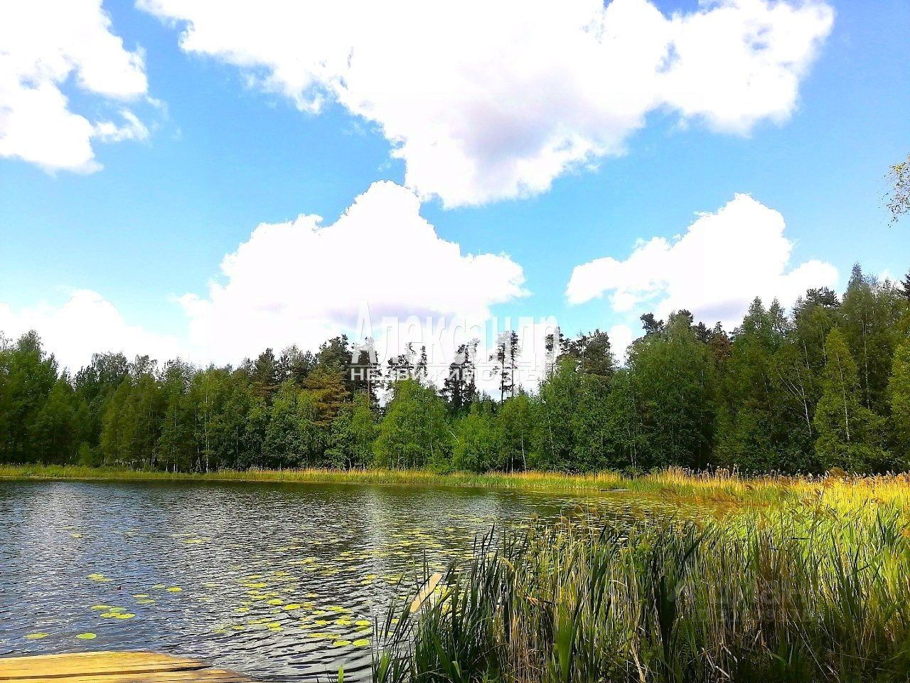 Продажа земли пос. Сосново, улица Озерная, 28В