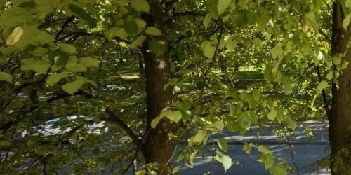 Комната пос. Стрельна, Фронтовая улица, 1