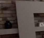 Сдать в аренду Квартиры вторичка Сестрорецк, Дубковское шоссе, 9   