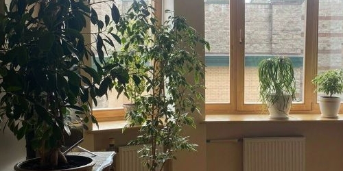 1-комн квартира улица Нахимова, 15