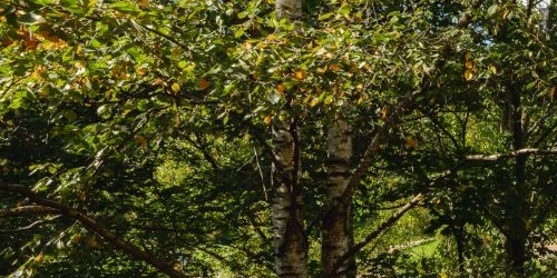 1-комн квартира улица Евдокима Огнева, 10К1