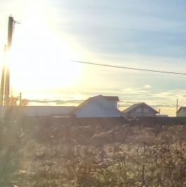 Продажа земли Кобралово кп, пос. Кобралово, 82 Продажа земли Кобралово кп, пос. Кобралово, 82