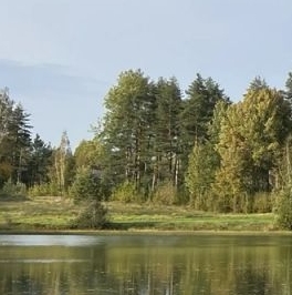 Продажа земли Лесное озеро кп,  д. 2