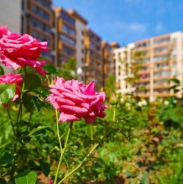 Продажа 3-комн квартиры на вторичном рынке Мытищи г, Пирогово д, Ильинского ул,  д. 6 к1