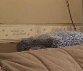 Продать Квартиры вторичка Сиреневый бульвар, 4к2   