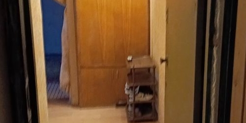 1-комн квартира улица Карпинского, 36к1