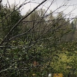 Продажа дома Кириши, проспект Героев, 6