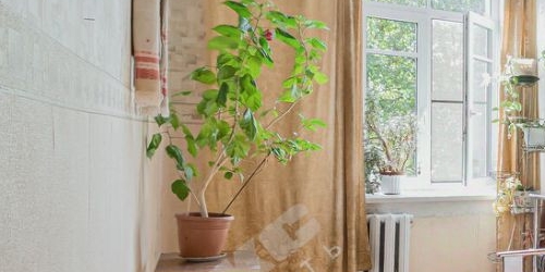 3-комн квартира Кронштадт, Советская улица, 45