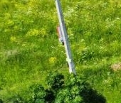 Продать Земельные участки, земля Тайцы городской поселок, улица Вербная   