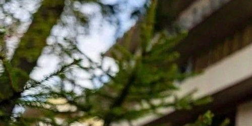 Коттедж/дом пос. Лисий Нос, Приморское шоссе, 26А