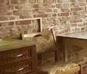 Сдать в аренду Квартиры вторичка пос. Шушары, Московское шоссе, 246   