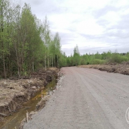 Продажа земли Новое Токсово массив, Юбилейное-ручьи снт