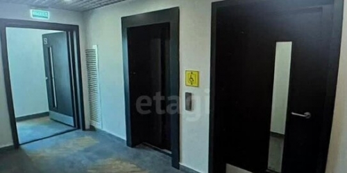 2-комн квартира Зеленый пр-кт,  д. 105