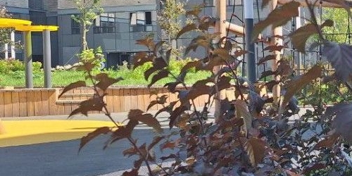 2-комн квартира шоссе Революции, 3к2