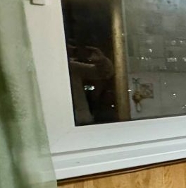 Аренда 2-комн квартиры на вторичном рынке Кингисепп, улица Химиков,  д. 10