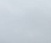 Сдать в аренду Квартиры вторичка Коломяжский проспект, 5к1   