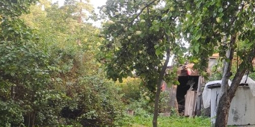 Коттедж/дом Новоорловская улица, 45