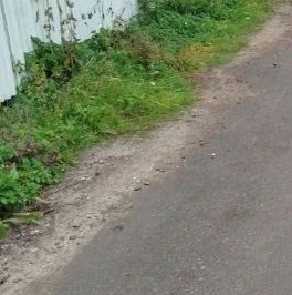 Продажа земли Малая Рыбацкая тер. Продажа земли Малая Рыбацкая тер.