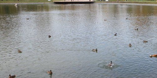 3-комн квартира Анадырский проезд, 47К1