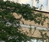 Продать Квартиры вторичка Ильинский рп, улица Островского, 5   