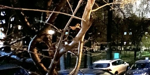 2-комн квартира 15-я Парковая улица, 23