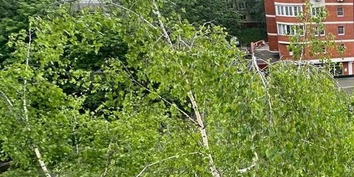 Комната Абрамцевская улица, 1