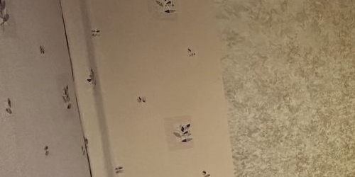 2-комн квартира Балашиха, улица Мира, 13