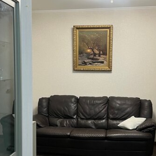 2-комн квартира Петровский пр-кт,  д. 24 к3