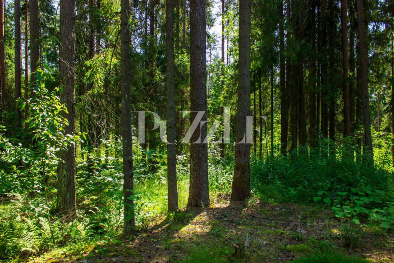 Продажа земли Рощино пгт, КП Еловая усадьба, проезд Усадебный, 32
