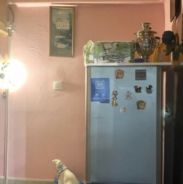 Продажа 2-комн квартиры на вторичном рынке ул Авангардная,  д. 7