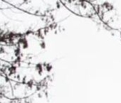 Продать Квартиры вторичка улица Зорге, 36   