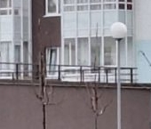 Продать Квартиры вторичка улица Плесецкая, 20к1   