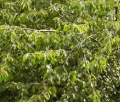 Продать Квартиры вторичка Нежинская улица, 14К2   