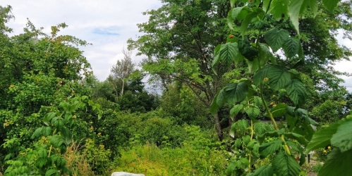 Коттедж/дом Тярлево пос., Большая ул. ,  д. 9