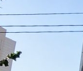 Продать Комнаты в квартирах Бутырская улица, 79   