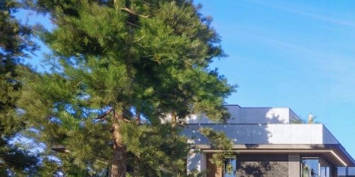 Коттедж/дом пос. Лисий Нос, Приморское шоссе, 26А