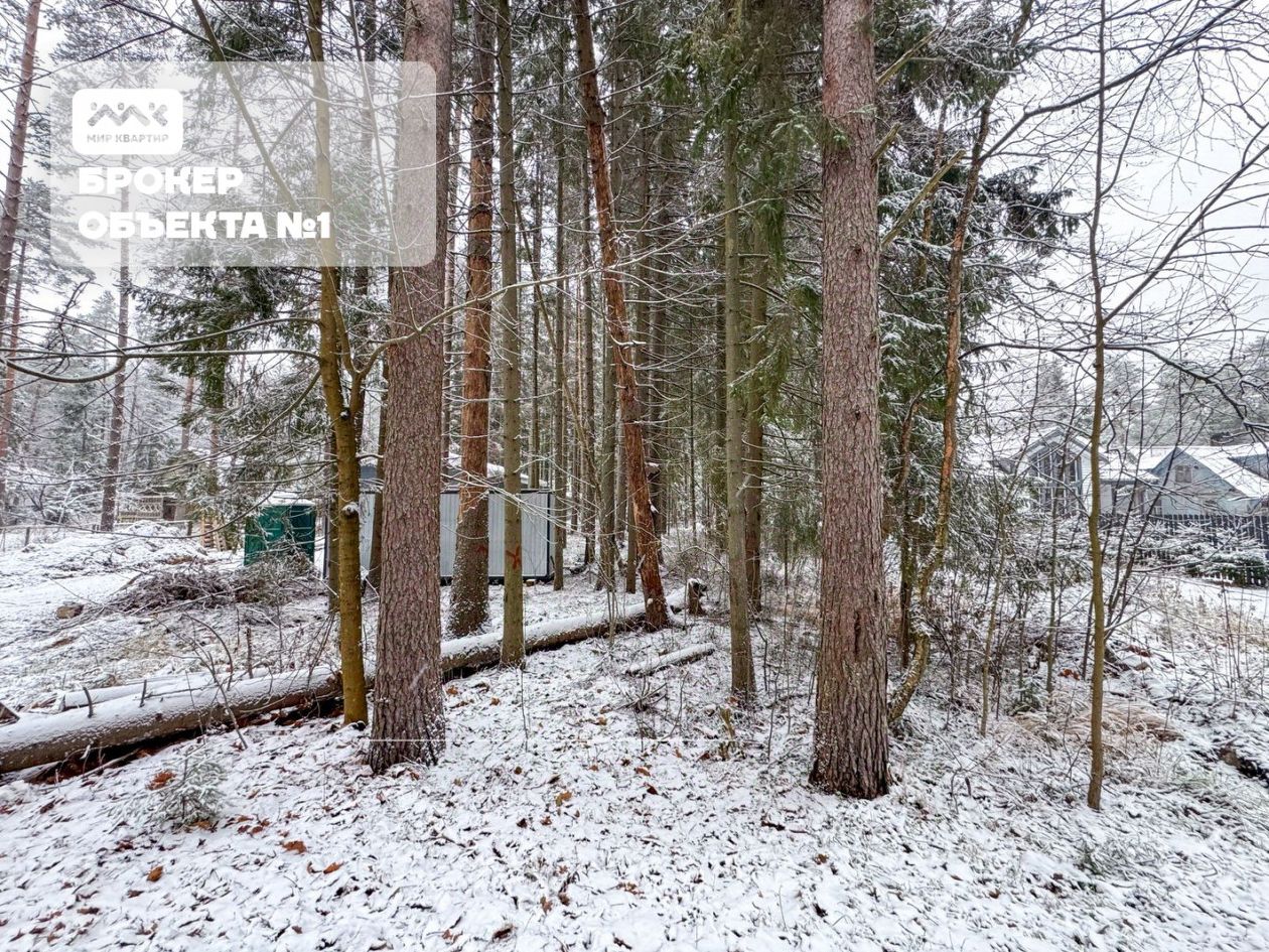 Продажа земли Зеленогорск, улица 2-я Лесная