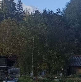 Продажа 1-комн квартиры на вторичном рынке Толмачево городской поселок, улица Мичурина, 7 Продажа 1-комн квартиры на вторичном рынке Толмачево городской поселок, улица Мичурина, 7