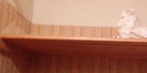 2-комн квартира улица Академика Павлова, 9К1