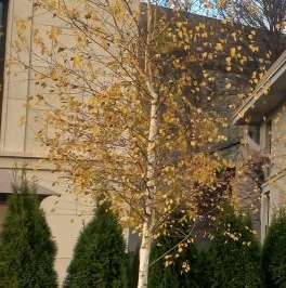 Продажа 3-комн квартиры на вторичном рынке Таманская улица, 1С3 Продажа 3-комн квартиры на вторичном рынке Таманская улица, 1С3