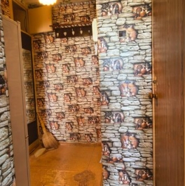 Продажа 1-комн квартиры на вторичном рынке Сергиево-Посадский городской округ, улица Строителей