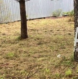 Продажа дома Захожье-2 садоводческий массив, Захожье-2 СНТ,  д. 489