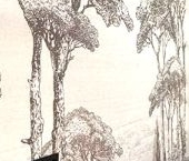 Сдать в аренду Квартиры вторичка улица Крузенштерна, 7   