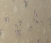 Сдать в аренду Квартиры вторичка Печорская улица, 16   