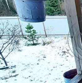 Продажа дома Калинка СНТ, улица Цветочная, 36