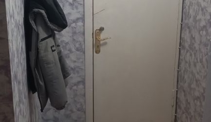 1-комн квартира Малая Охта тер., улица Казанская, 7