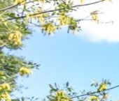 Продать Квартиры вторичка улица Машкова, 6С1   