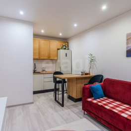 Продажа 1-комн квартиры на вторичном рынке Светлановский пр-кт,  д. 8