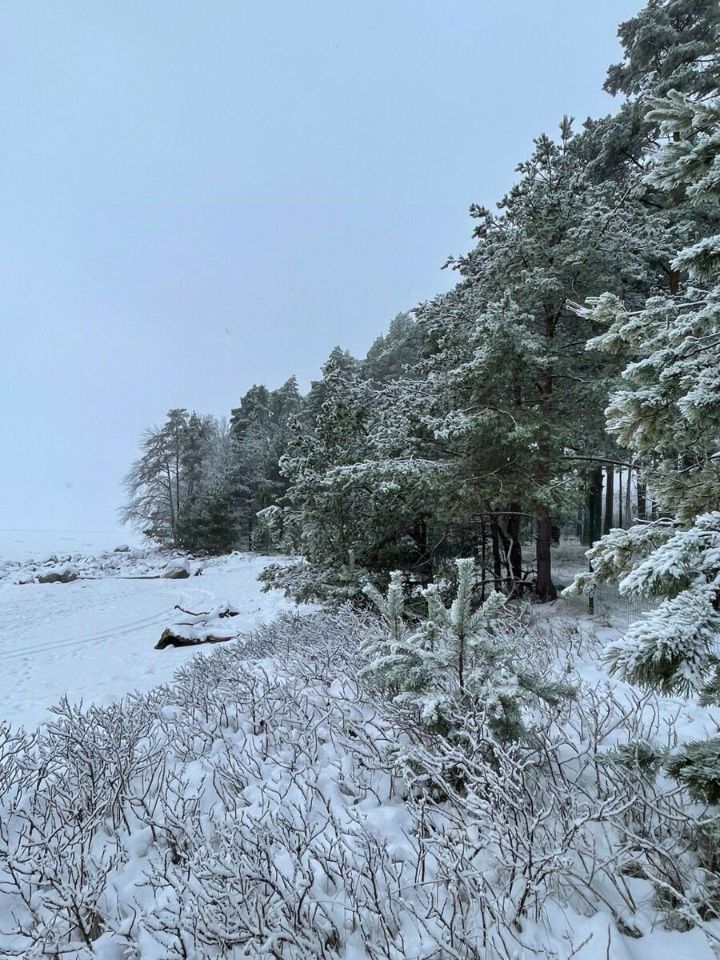 Продажа земли Акватория кп, пос. Пески, 222/1