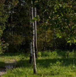 Продажа дома пос. Белоостров, Белоостровская улица, 20А